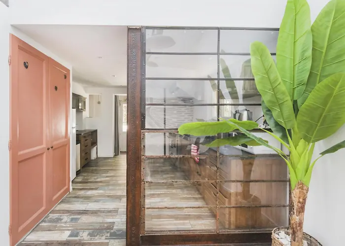 Lejlighed Tilou Location - Giens - Proche Des Plages Et Du Villages *